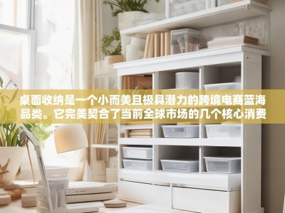 桌面收纳是一个小而美且极具潜力的跨境电商蓝海品类。它完美契合了当前全球市场的几个核心消费趋势，居家办公、极简主义、生活美学和空间优化